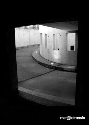 Rives_de_l_Aar__3