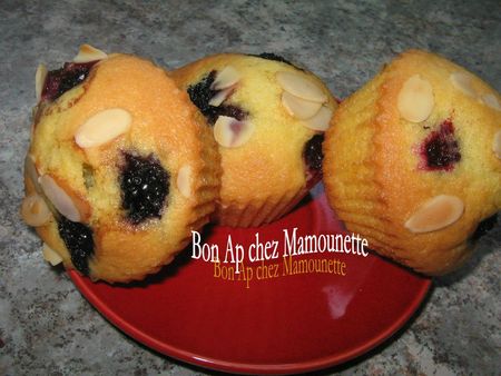 Petits gâteaux à la mûre sauvage 015