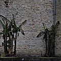 _IGP2569 (2)