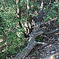 IMG_5605