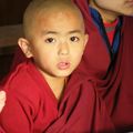 024. Le Sikkim, une enclave boudhiste (Inde, Noël 2007-2008)