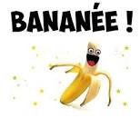 images (1)