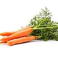 Pain de carottes aux oignons