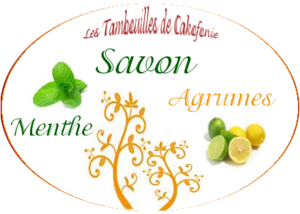 savon_menthe_agrumes