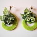 Fleurs d'hiver Spirales Vert