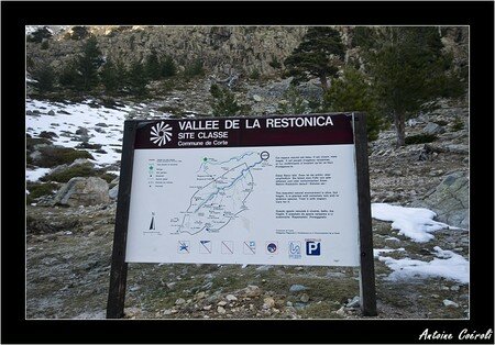 dsc_0602_border