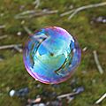 IMG_1588