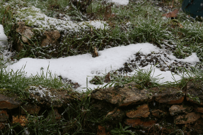 Neige 1
