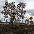 DSC08095