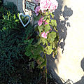20180720_192348