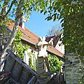 IMGP4684