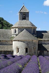 Abbaye_de_Sénanque_-_11