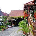 IMGP8901