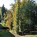 P1090536 (2)