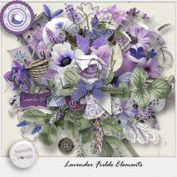 BDS_lavenderfields_pv_el