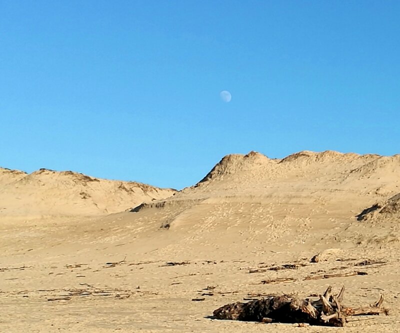 Labenne-Océan, dune et lune en hiver, insta (40)