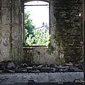 IMG_7458