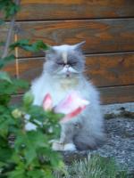 SAM_5838