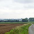 IMGP6597