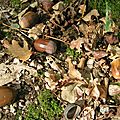 PICT0461