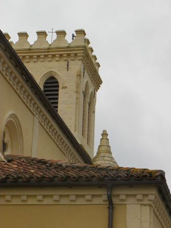 IMGP3414