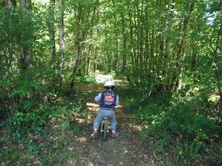 Vélo de online chailluz