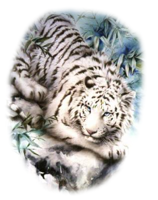 tigre