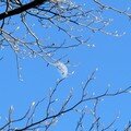 le soleil a rendez-vous avec la lune