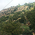 IMG_1244