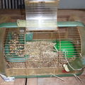 France/guyane - hamsterminé en amazonie !
