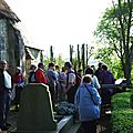 IMGP1294