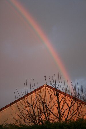 IMG_1286