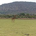 P1140088