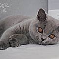 _DSC2367