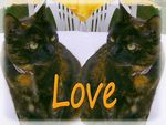 chats_double_LOVE