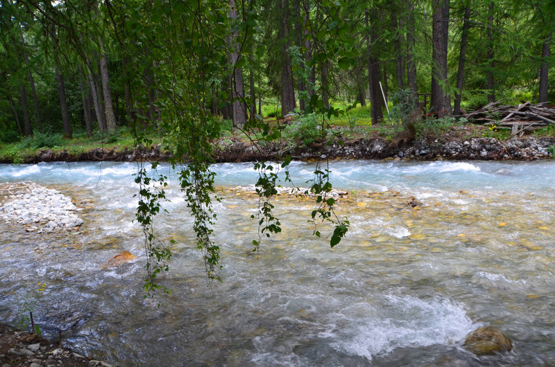 DSC_1755