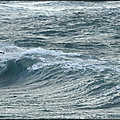 RELANCE TOP PIER MAKKENA