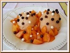 sorbet abricots hurom 400 sorbet abricots hurom 400