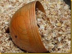 P1110022 P1110022