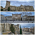 Avignon : vues panoramiques