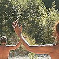 Danses douces et sauvages A