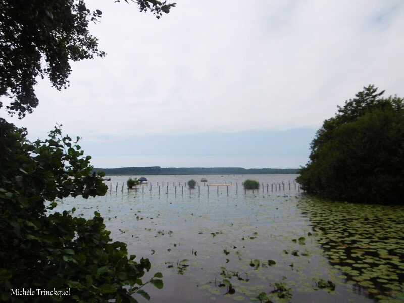 1-Balade au Lac 050819