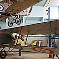 IMGP6395