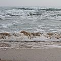 IMG_1735 - Copie