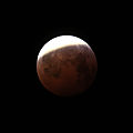 IMG_4630