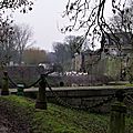 _IGP2578 (2)