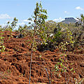 P1130477