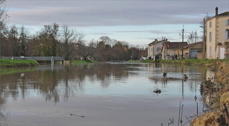 Crue Sèvre 161219 1 canards
