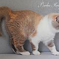 _DSC0675