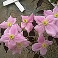 WP_20160506_002